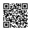 QR Code (код быстрого отклика)