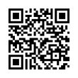 QR Code (код быстрого отклика)