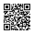 QR Code (код быстрого отклика)