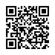 QR Code (код быстрого отклика)