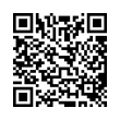 QR Code (код быстрого отклика)