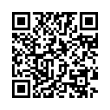 QR Code (код быстрого отклика)