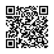 QR Code (код быстрого отклика)