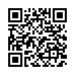 QR Code (код быстрого отклика)