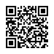 QR Code (код быстрого отклика)