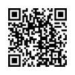 QR Code (код быстрого отклика)