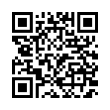 QR Code (код быстрого отклика)