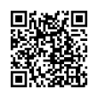 QR Code (код быстрого отклика)