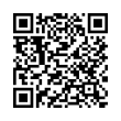 QR Code (код быстрого отклика)