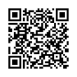 QR Code (код быстрого отклика)