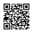 QR Code (код быстрого отклика)