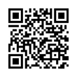 QR Code (код быстрого отклика)