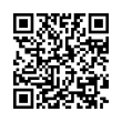 QR Code (код быстрого отклика)