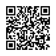 QR Code (код быстрого отклика)