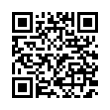 QR Code (код быстрого отклика)