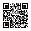 QR Code (код быстрого отклика)