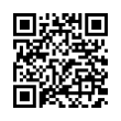 QR Code (код быстрого отклика)