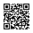 QR Code (код быстрого отклика)