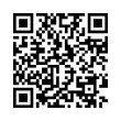 QR Code (код быстрого отклика)