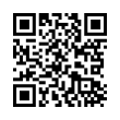 QR Code (код быстрого отклика)