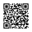 QR Code (код быстрого отклика)