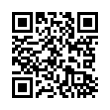 QR Code (код быстрого отклика)