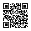 QR Code (код быстрого отклика)