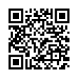 QR Code (код быстрого отклика)