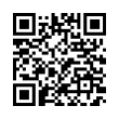 QR Code (код быстрого отклика)