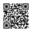 QR Code (код быстрого отклика)