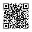 QR Code (код быстрого отклика)