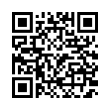 QR Code (код быстрого отклика)