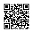 QR Code (код быстрого отклика)