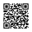 QR Code (код быстрого отклика)