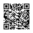 QR Code (код быстрого отклика)