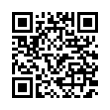 QR Code (код быстрого отклика)