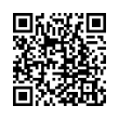 QR Code (код быстрого отклика)