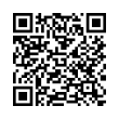 QR Code (код быстрого отклика)