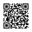 QR Code (код быстрого отклика)