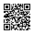 QR Code (код быстрого отклика)