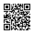 QR Code (код быстрого отклика)