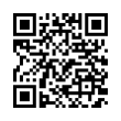 QR Code (код быстрого отклика)