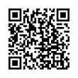 QR Code (код быстрого отклика)