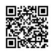 QR Code (код быстрого отклика)