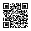 QR Code (код быстрого отклика)