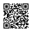 QR Code (код быстрого отклика)