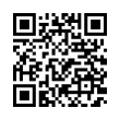 QR Code (код быстрого отклика)