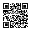 QR Code (код быстрого отклика)