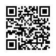 QR Code (код быстрого отклика)