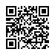 QR Code (код быстрого отклика)